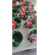 Noel Baba Kalemlik Noel Baba Kalemlik