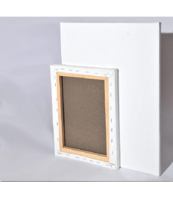 30*40 Tuval Profesyonel Kalite kalın şase