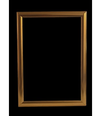 A4  diploma belge çerçevesi  gold  21*30